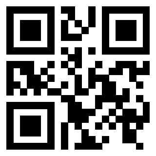 Il Qr Code di 3916116618