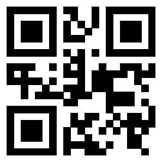 Il Qr Code di 3916146856