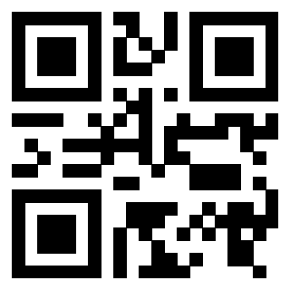Il Qr Code di 3916146892