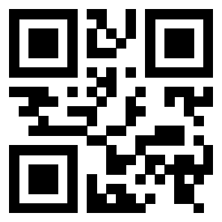 Il Qr Code di 3916146959