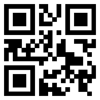 Il Qr Code di 3916147495