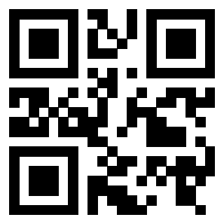 Il Qr Code di 3916147613
