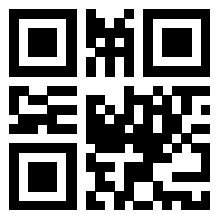 3916245667 Qr Code associato