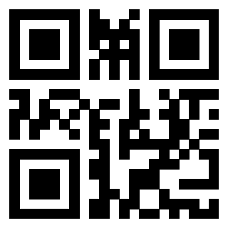 Il Qr Code di 3916245811