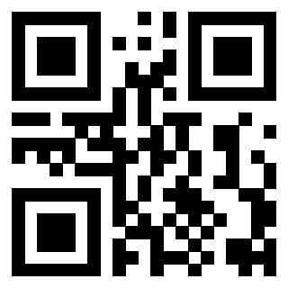 Il Qr Code di 3916245993