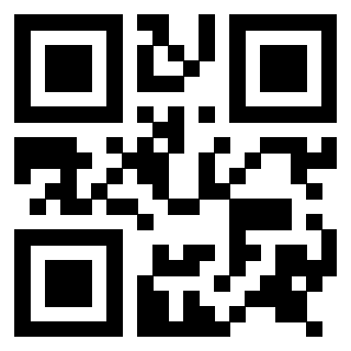 Il Qr Code di 3916246017
