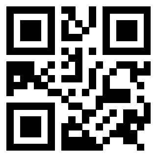 Il Qr Code di 3916246078