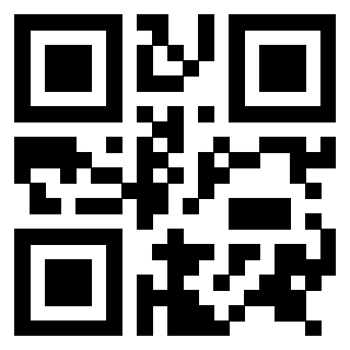 Il Qr Code di 3916246213