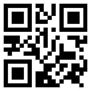 Il Qr Code di 3916246309