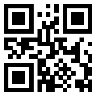 Il Qr Code di 3916246381