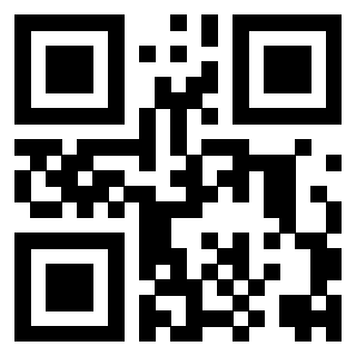 Il Qr Code di 3916265879