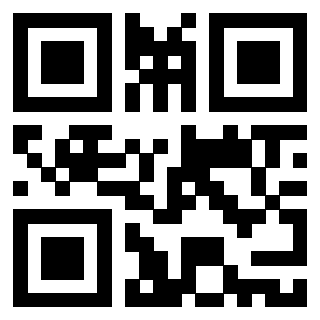 Il Qr Code di 3916265958