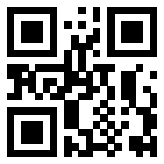 Il Qr Code di 3916265990