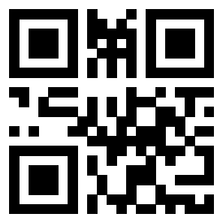 Il Qr Code di 3916266003