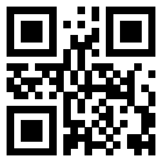 3916266041 QrCode associato