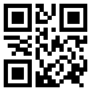3916266111 QrCode associato