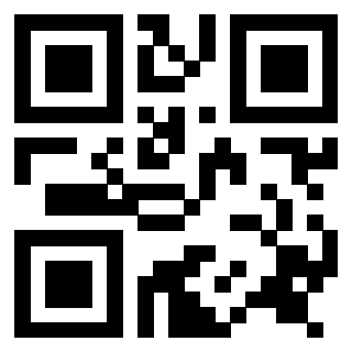 Il Qr Code di 3916266512