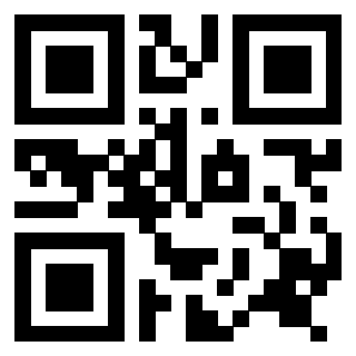 Il Qr Code di 3916266533