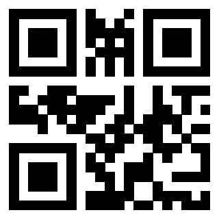 Il Qr Code di 3916266539