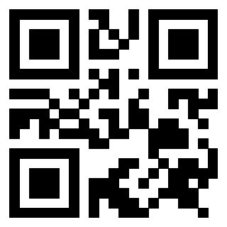 Il Qr Code di 3916345946
