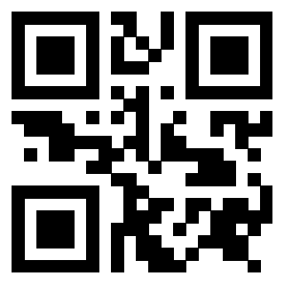 Il Qr Code di 3916345973