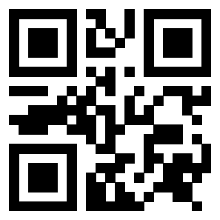Il Qr Code di 3916346047