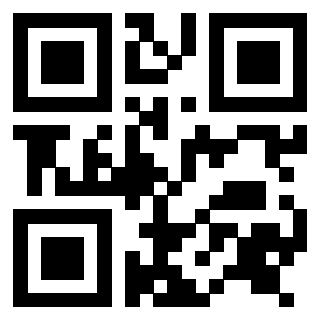 Il Qr Code di 3916346281
