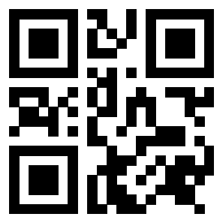 Il Qr Code di 3916346558