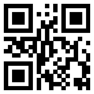 QrCode di 3916357295