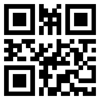 Il Qr Code di 3916358051