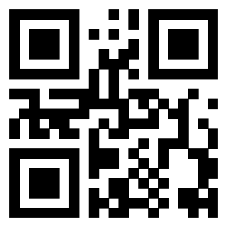Il Qr Code di 3916358054