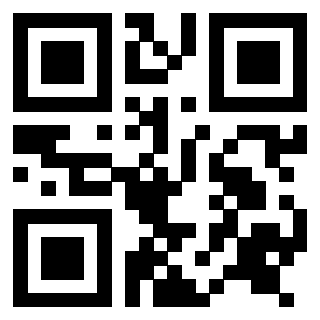 Il Qr Code di 3916358063