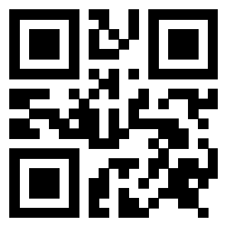Il Qr Code di 3916358173