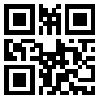 Il Qr Code di 3916358213