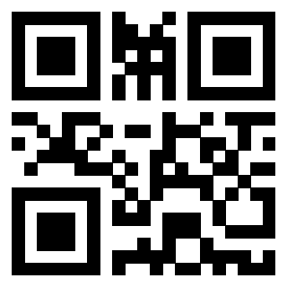 3916395010 QrCode associato