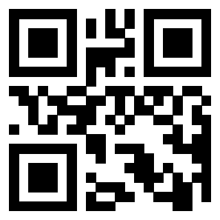 Il Qr Code di 3916395073