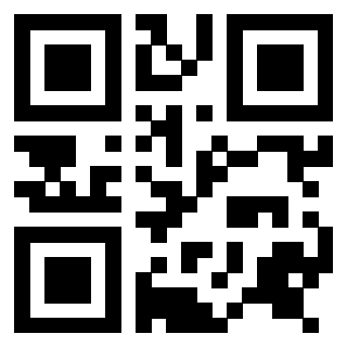 Il Qr Code di 3916395213