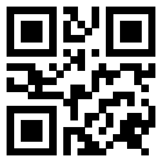 Il Qr Code di 3916395289