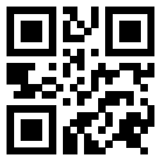 Il Qr Code di 3916395299