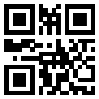 Il Qr Code di 3916396863