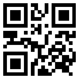 Il Qr Code di 3916418659