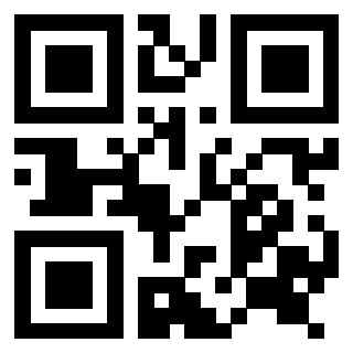 Il Qr Code di 3916427017