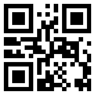 Il Qr Code di 3916566848