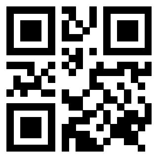 3916566891 QrCode associato