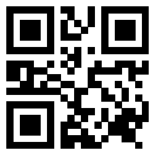 Il Qr Code di 3916566893