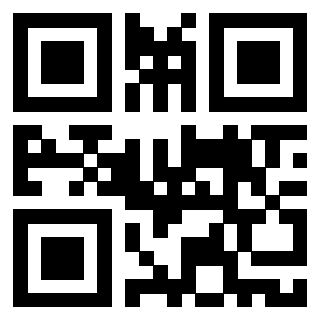 Il Qr Code di 3916566941