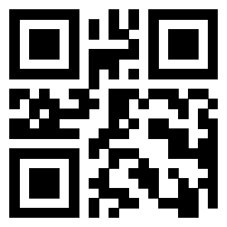 Il Qr Code di 3916566950
