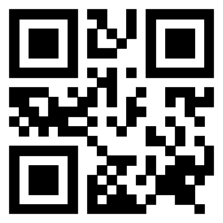 Il Qr Code di 3916566963