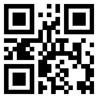 Il Qr Code di 3916566985