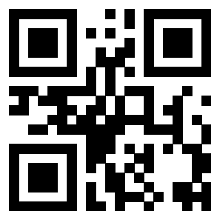 Il Qr Code di 3916567539